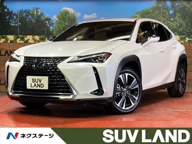 Lexus UX 250h
