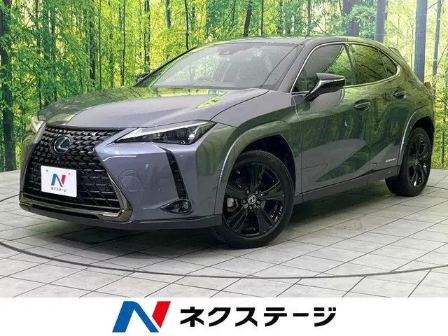 Lexus UX 250h