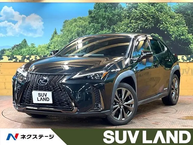 Lexus UX 250h