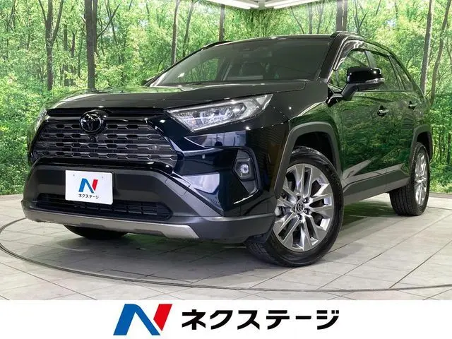 Toyota RAV4 fotoğraf 1