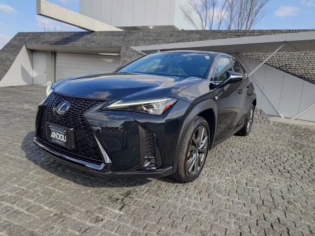 Lexus UX 250h