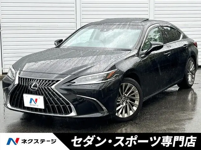 Lexus ES 300h