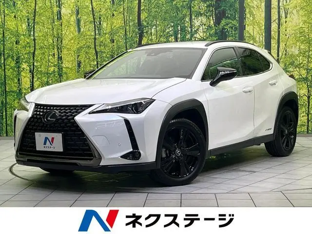 Lexus UX 250h