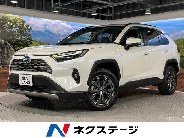Toyota RAV4 fotoğraf 1