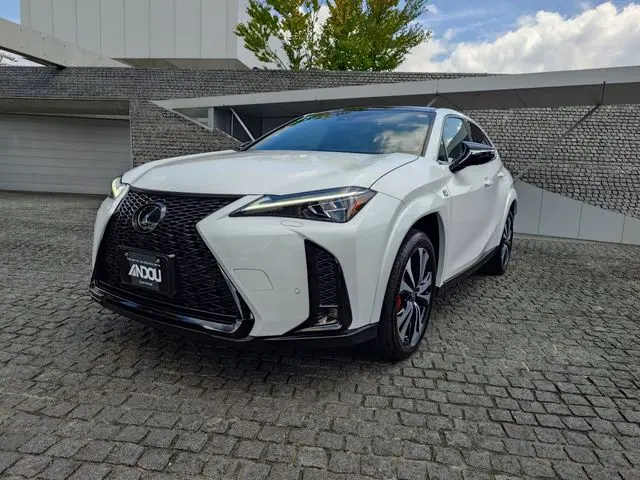 Lexus UX 250h