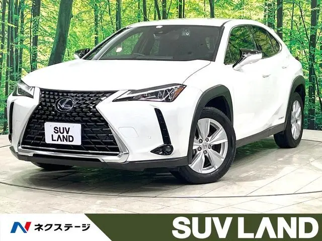 Lexus UX 250h