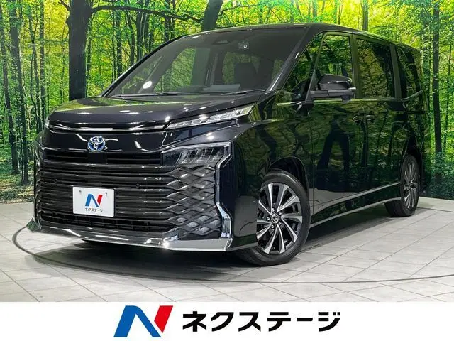 Toyota Voxy fotoğraf 1