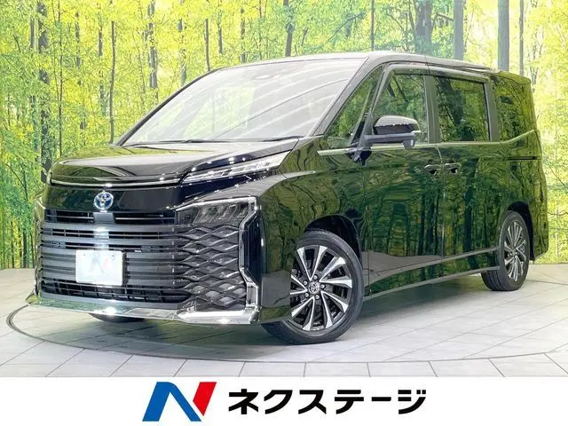 Toyota Voxy fotoğraf 1