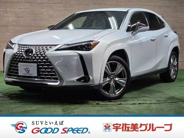 Lexus UX 250h