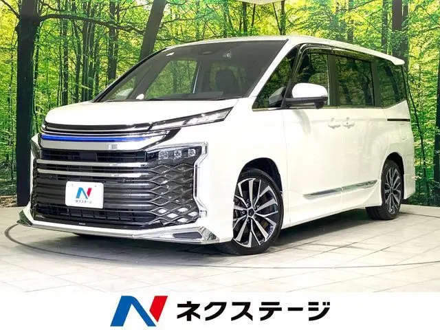 Toyota Voxy fotoğraf 1