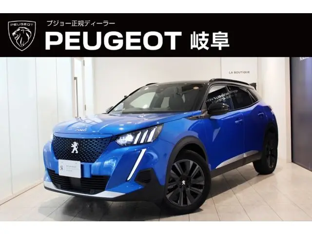 Peugeot E-2008