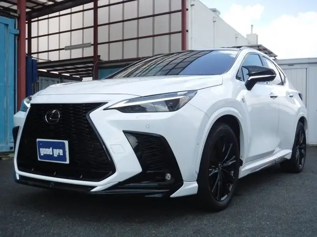 Lexus NX 350h photo 1