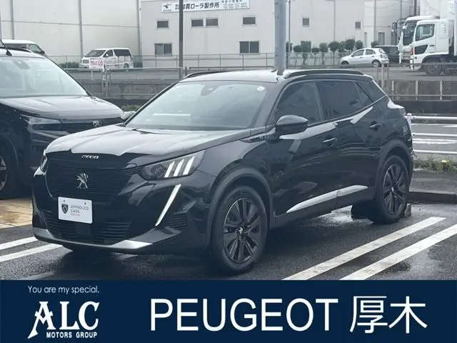 Peugeot E-2008