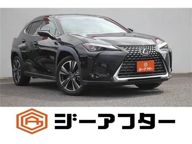 Lexus UX 300h