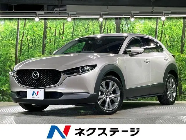 Mazda CX-30 fotoğraf 1