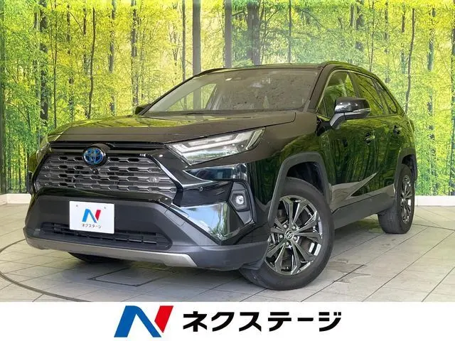 Toyota RAV4 photo 1