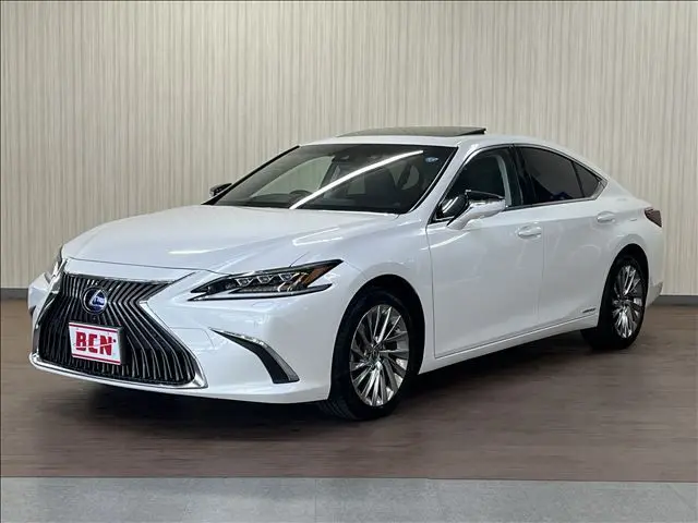 Lexus ES 300h