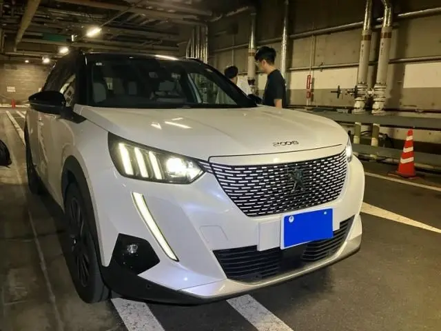 Peugeot E-2008