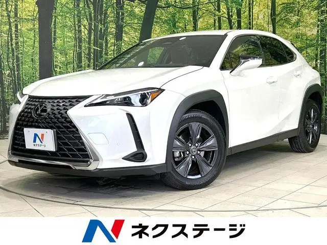 Lexus UX 300h