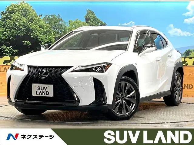 Lexus UX 300h