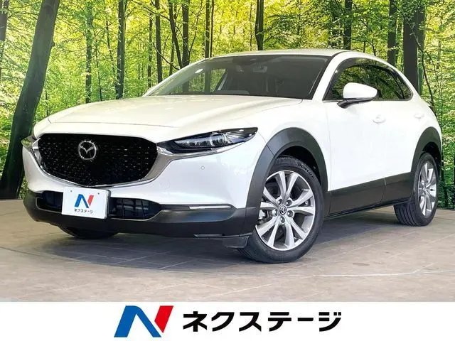 Mazda CX-30 fotoğraf 1