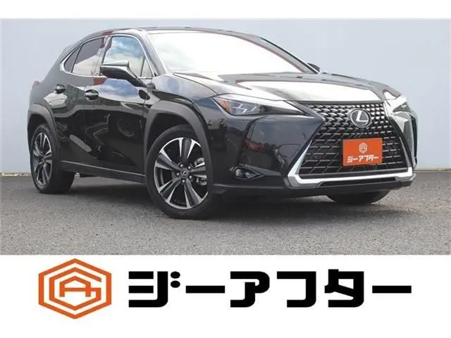 Lexus UX 300h