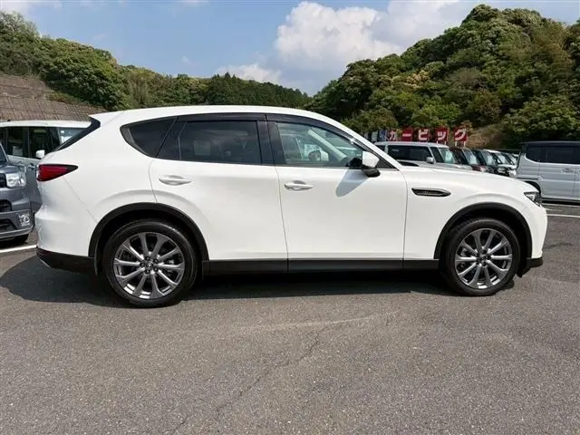 Mazda CX-60 fotoğraf 10