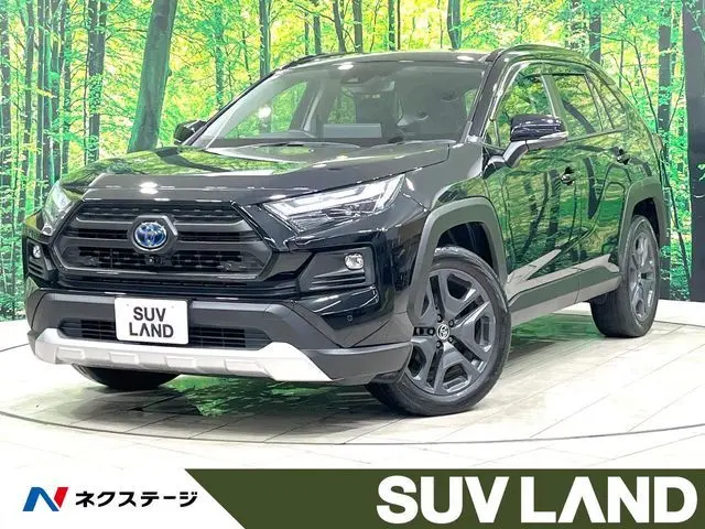 Toyota RAV4 fotoğraf 1