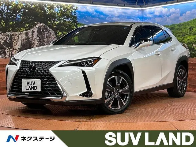 Lexus UX 300h