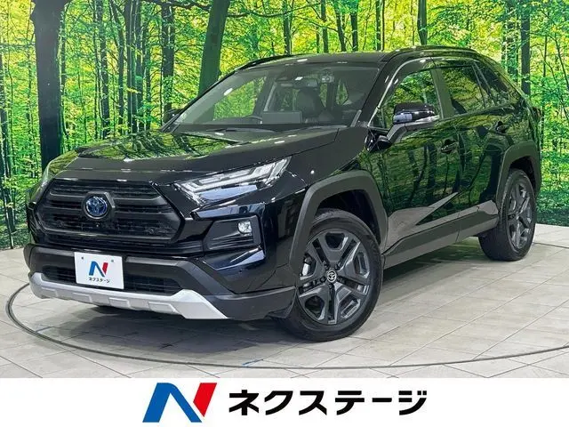 Toyota RAV4 photo 1