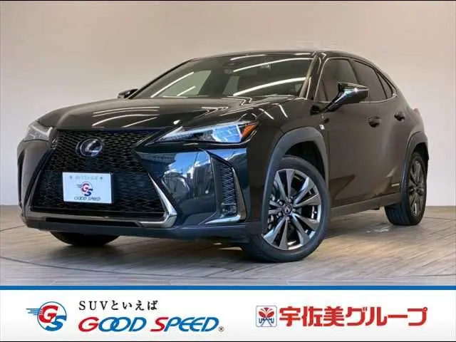 Lexus UX 250h