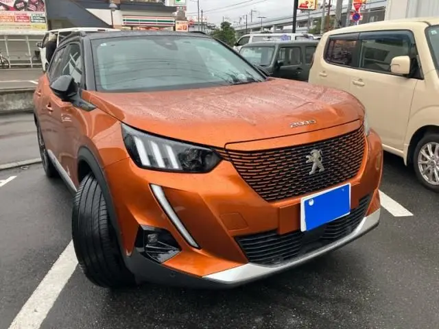 Peugeot E-2008