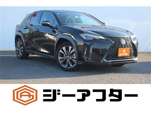 Lexus UX 250h