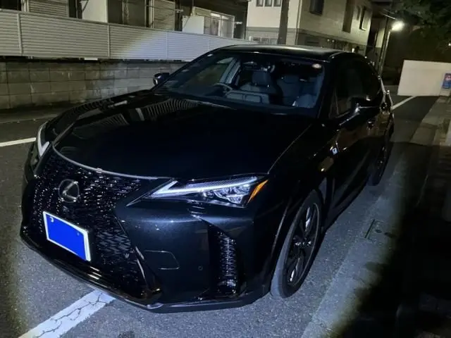 Lexus UX 300h