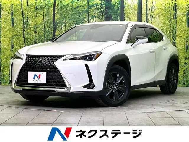 Lexus UX 250h