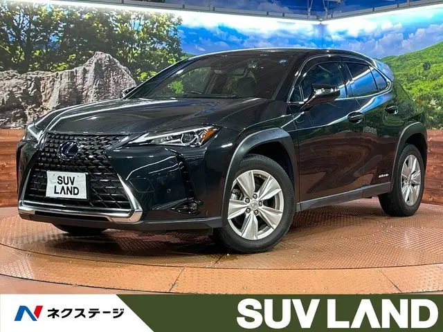 Lexus UX 250h