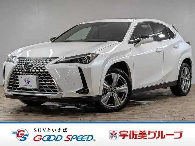 Lexus UX 250h