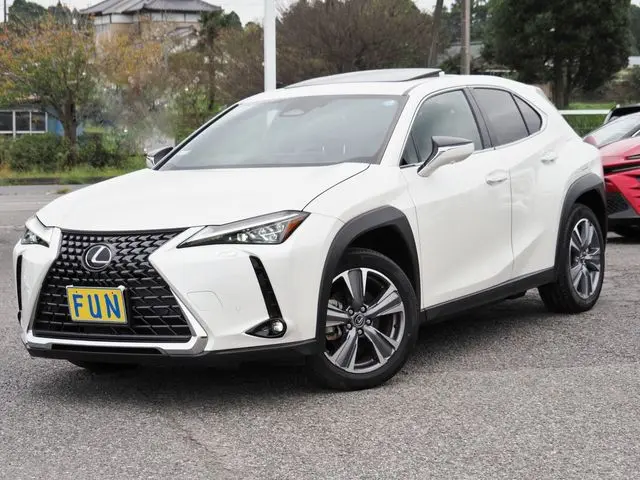 Lexus UX 300
