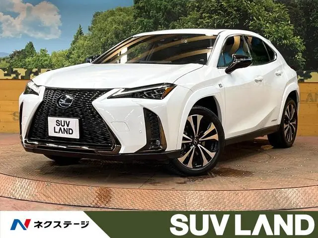 Lexus UX 250h