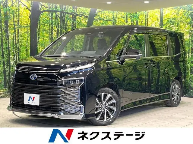 Toyota Voxy fotoğraf 1