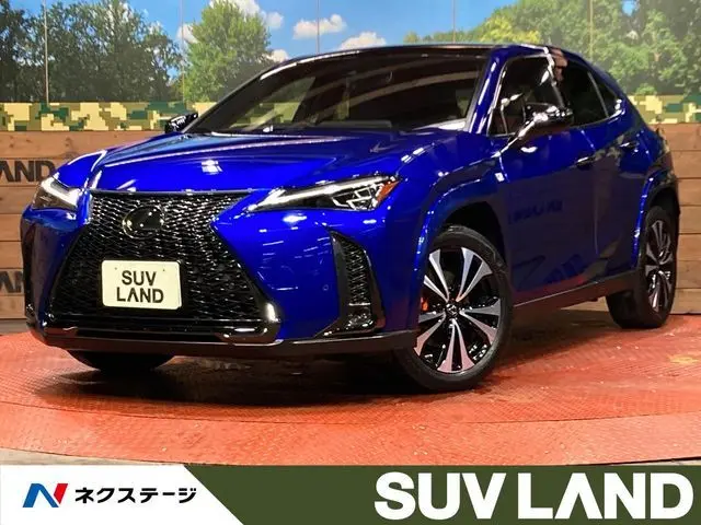 Lexus UX 250h