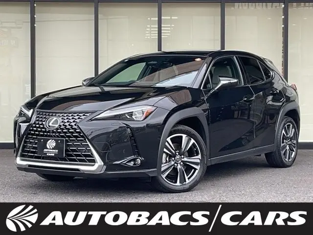 Lexus UX 300h