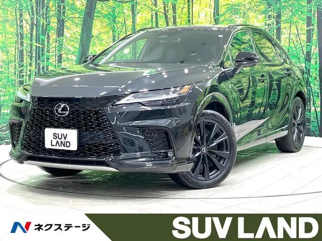 Lexus RX photo 1