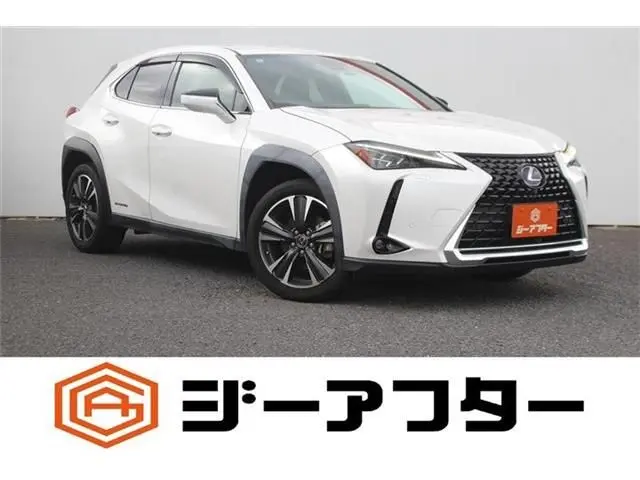 Lexus UX 250h