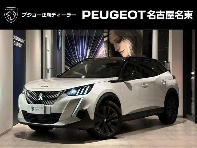 Peugeot E-2008