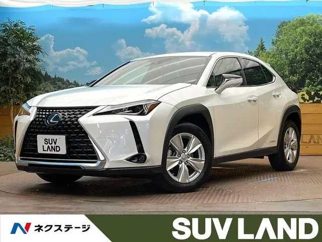 Lexus UX 250h