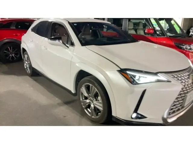 Lexus UX 250h
