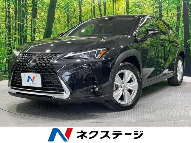 Lexus UX 250h