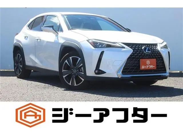 Lexus UX 300h