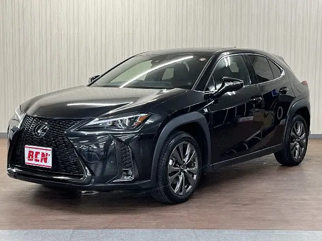 Lexus UX 250h